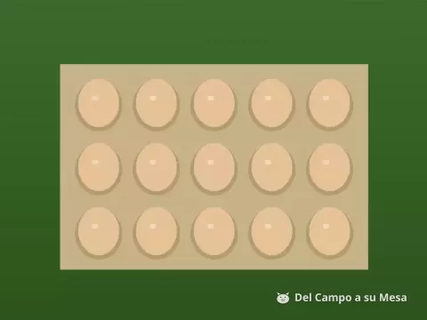 Huevos de gallina