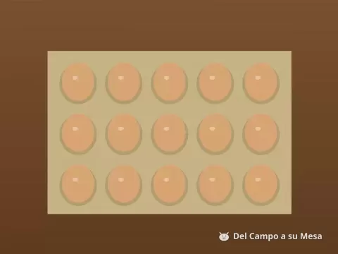 Huevos de gallina libre (pastoreo)