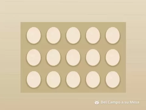 Huevos criollos
