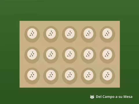 Huevos de codorniz