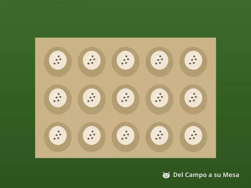 Huevos de codorniz