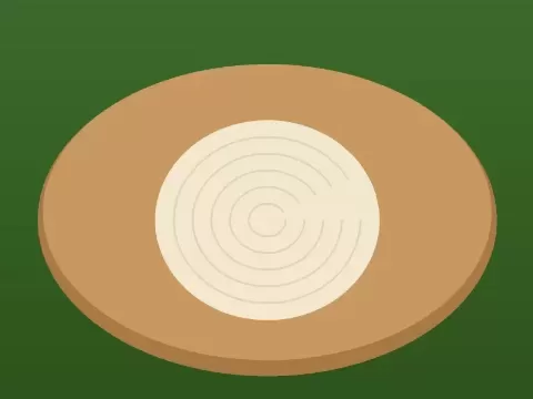 Queso palmito